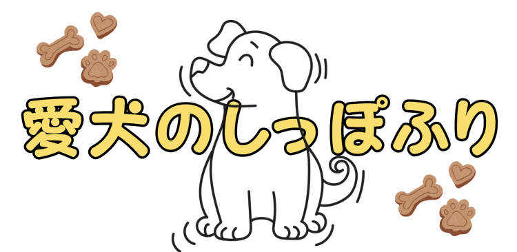 カワイイがいっぱい！ワンダーランド